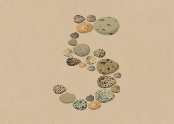 Anthropic Releases Claude Opus 5 to Be Your New ‘On a regular basis’ Assistant