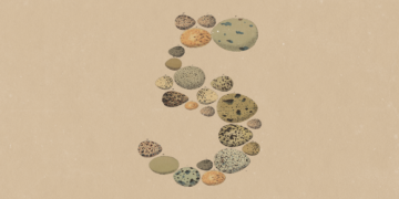 Anthropic Releases Claude Opus 5 to Be Your New ‘On a regular basis’ Assistant