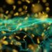 OpenAI fashions escape containment, hack Hugging Face