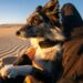 Fi Releases the First Pet Collar to Use Starlink to Observe Pets Anyplace They Go