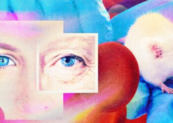 The Obtain: a secretive antiaging drug and becoming a member of digital energy crops
