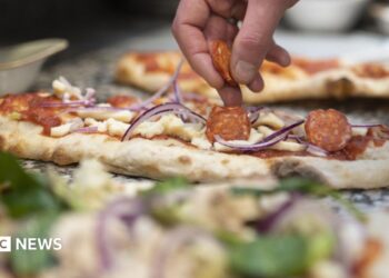 Pizza eating places: Why pizza-making robots aren’t chopping it