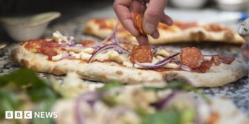 Pizza eating places: Why pizza-making robots aren’t chopping it