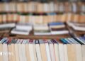 Secondhand e book gross sales are booming. Is it due to AI?