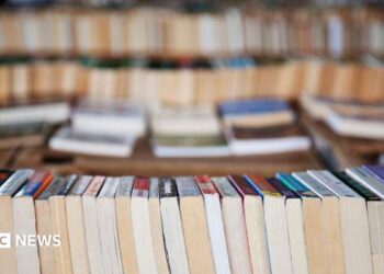Secondhand e book gross sales are booming. Is it due to AI?