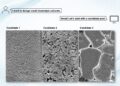 Fixing the solvent downside | MIT Information
