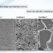 Fixing the solvent downside | MIT Information
