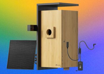 Birdfy Nest Duo Overview: My Personal Non-public Nature Documentary