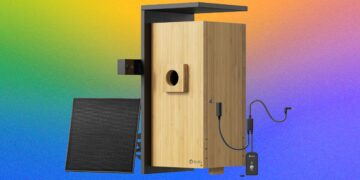 Birdfy Nest Duo Overview: My Personal Non-public Nature Documentary
