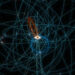 This Star Whips Across the Milky Method’s Black Gap Sooner and Nearer Than Any Different Identified Star