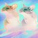 Cloning may very well be used to avoid wasting species—or make human “organ sacks”