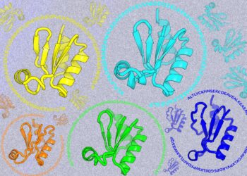 Wanting past pure sequences | MIT Information