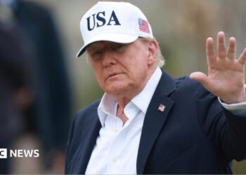Trump downplays AI dangers after dire professional warnings and calls to sluggish improvement down
