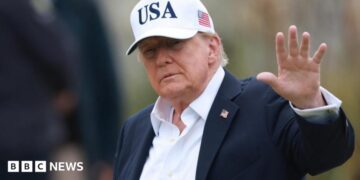 Trump downplays AI dangers after dire professional warnings and calls to sluggish improvement down