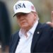 Trump downplays AI dangers after dire professional warnings and calls to sluggish improvement down
