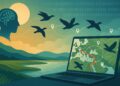 AI Maps Chicken Migration for Conservation