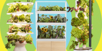 Greatest Indoor Backyard Programs I’ve Been Testing All 12 months (2026)