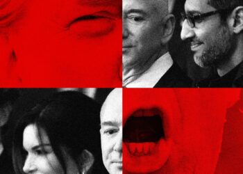 Why the Postpandemic Tech Bust Despatched Billionaires to Trump