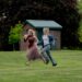 Netflix Is Formally Streaming the Most Satisfying Motion Thriller of the Decade