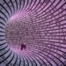Confused about which VPN is correct, US senator asks the NSA for steering