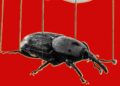 The PHP Meltdown Reveals How AI Makes Bugs Extra Exploitable