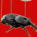 The PHP Meltdown Reveals How AI Makes Bugs Extra Exploitable