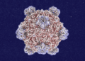 Roundtables: A Dialog With the Creator of AI-Designed Viruses