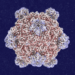 Roundtables: A Dialog With the Creator of AI-Designed Viruses