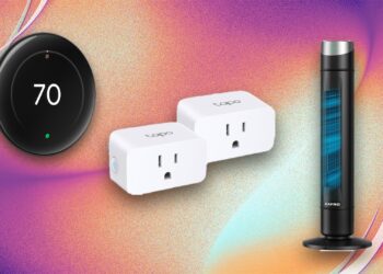 Taking a look at Good House Offers for Amazon Prime Day? Right here Are 4 Picks I Use in My Personal House