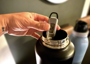 Can the Shark Tank Water Bottle Actually Hold Drinks Chilly for 36 Hours? I Examined One to Discover Out