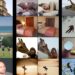 The Obtain: AI “mind-reading” and artistic makes use of for small batteries