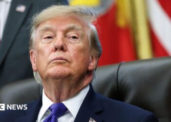 Trump unveils ‘Tremendous Intelligence Pressure’ to supervise AI coverage